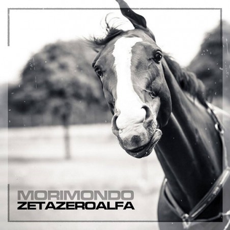 CD Zetazeroalfa - Morimondo