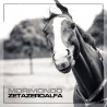 CD Zetazeroalfa - Morimondo